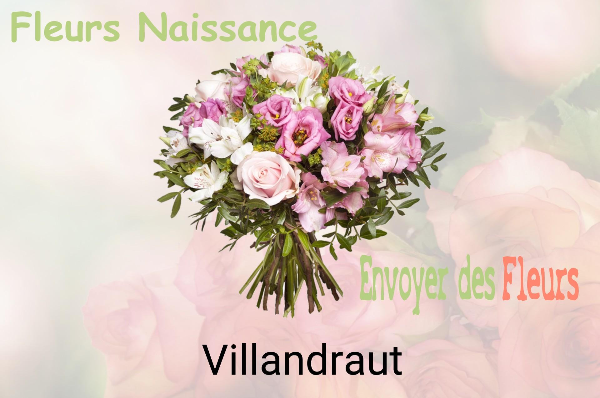 Bouquet de fleurs de naissance livré à Villandraut